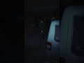 🔍 ¿Puedes identificar a este fantasma? (Parte 1) #Phasmophobia
