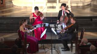 Attacca Quartet plays Haydn Op. 76 no. 2 Fifths -- Fourth Movement