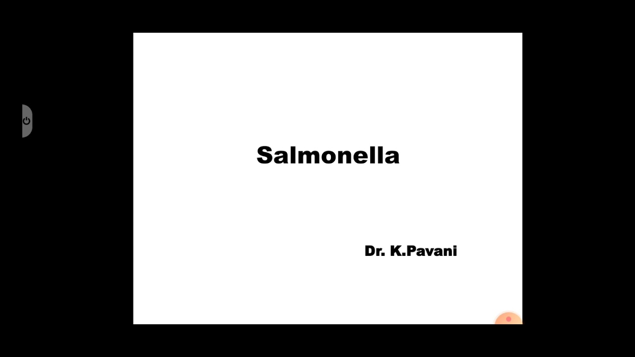 Salmonella YouTube