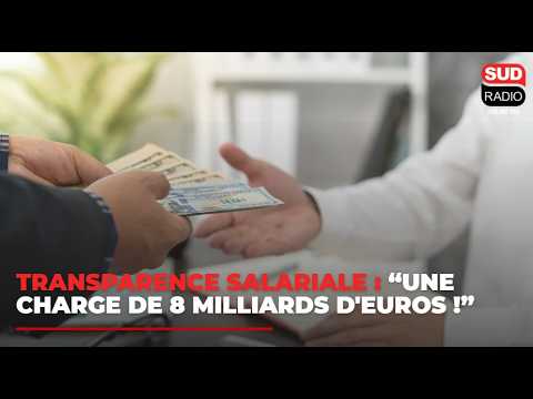 Miniature de la vidéo : 8 milliards en plus: les entreprises de taille intermediaire s'opposent à la transparence salariale