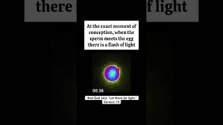 We Are Made In Gods Image