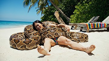 Woman Rescued from Two Giant Burmese Pythons on Beach