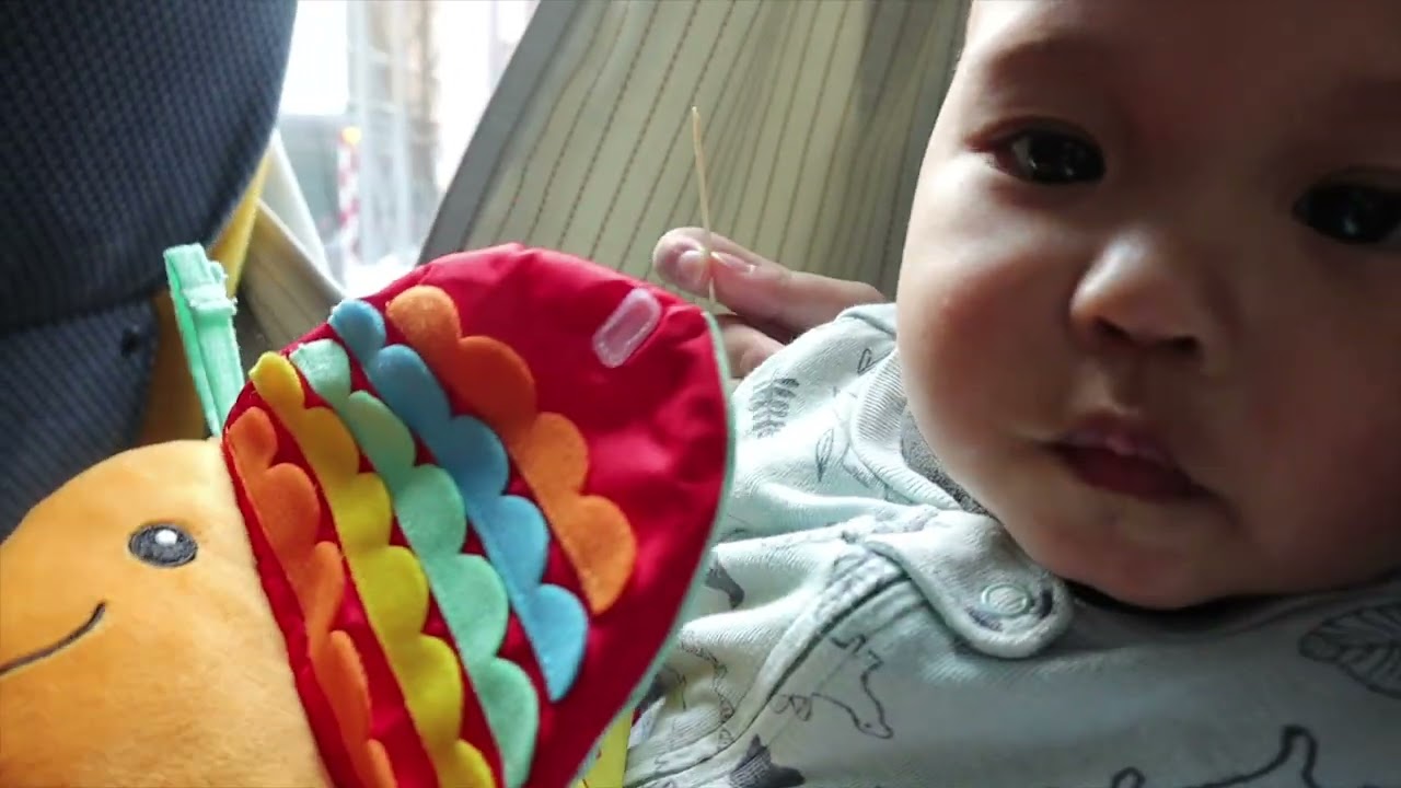 Hokkaido 2026 (Day 13 - Feb 21)