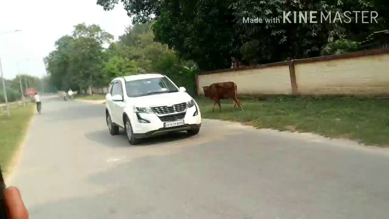 DLW Railway colony by bike || KnowledgeTips || best railway colony in india