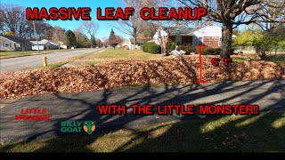 MASSIVE LEAF CLEANUP WITH THE LITTLE MONSTER!! #littlewonder