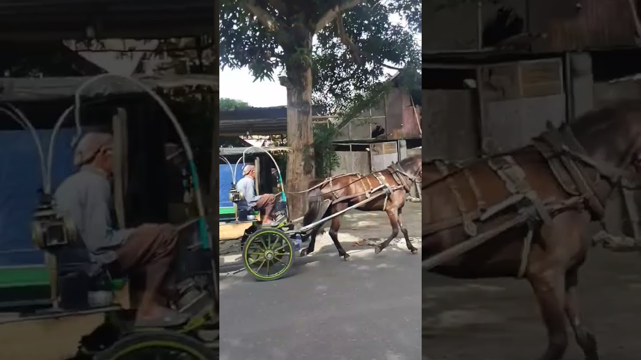 Pusat kuliner sate klatak atau sate kambing di Bantul Projotamansari