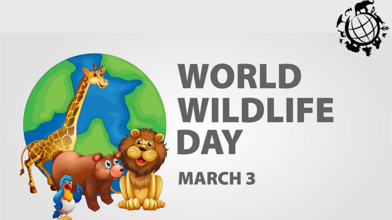 World wildlife day, Save wildlife, Theme for world wildlife day 2021