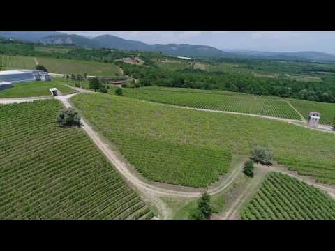 Ktima (Estate) Kir-Yianni