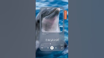 سورة الغاشية / بصوت الشيخ ياسر الدوسري #القرآن_الكريم #ياسر_الدوسري اكتب شيء تؤجر عليه/ راحة نفسية