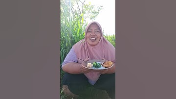 sarapan di sawah karo jangan bening bayem suweeerr