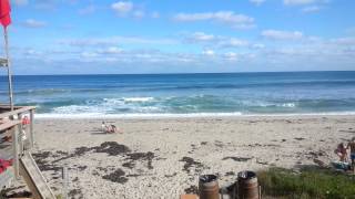 The Surf at Gulfstream Park Beach