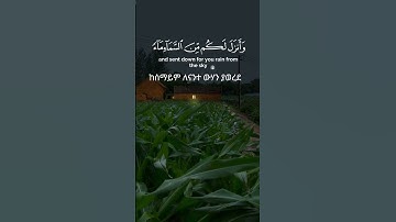 سورة النمل الآية 59-60 #القرآن_الكريم   #quran