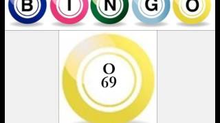 Bingo Game Complete