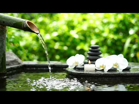 Bamboo Fountain & Nature Sounds 🍀 Bamboo Water with Healing Piano | Night Meditation and Inner Peace