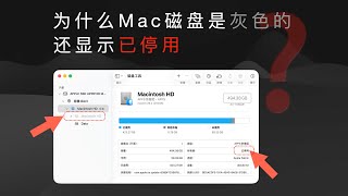 Mac 系统盘灰色 + 已停用，是正常的么？