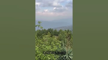 (إِنَّ اللَّهَ وَمَلَائِكَتَهُ يُصَلُّونَ عَلَى النَّبِيِّ ۚ ) القارئ ‏ ‏ياسر الدوسري