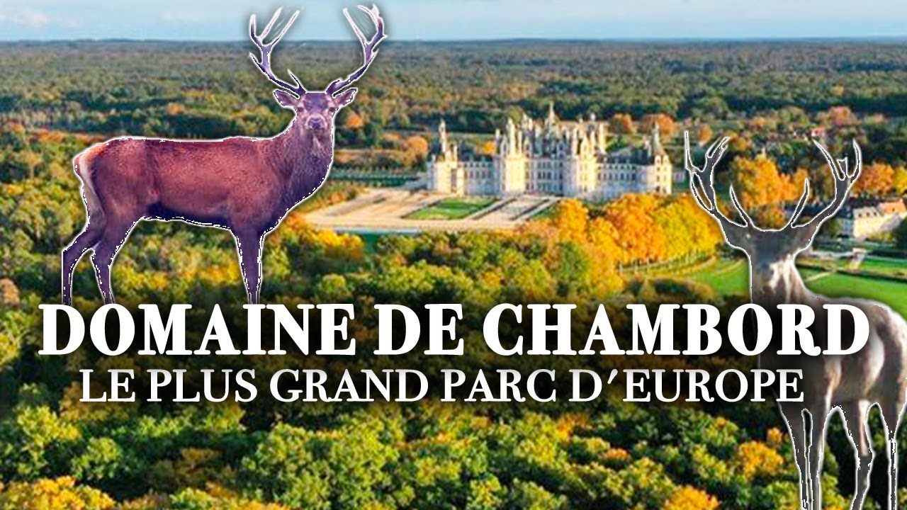 Domaine de Chambord : le plus grand parc d'europe - Au cœur du patrimoine français | Documentaire