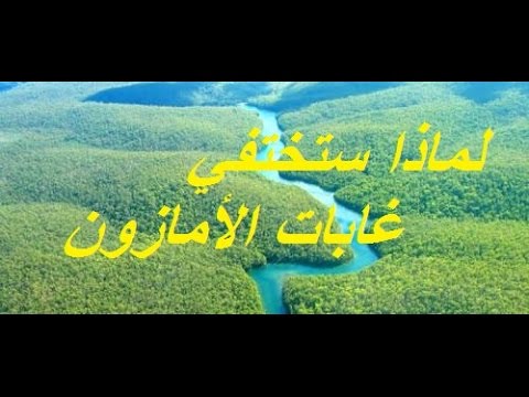 لماذا ستختفي غابات الأمازون Youtube