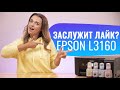 На что способно МФУ Epson L3160 | Обзор с Дариной