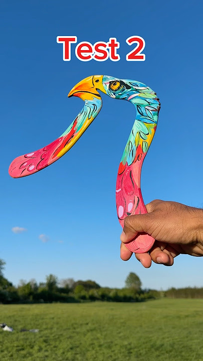 Which one is the imposter boomerang? @pontynuss