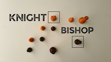 Bishop versus Knight, Reti - Rubinstein, Gothenburg (1920) · Endgame Strategy 1