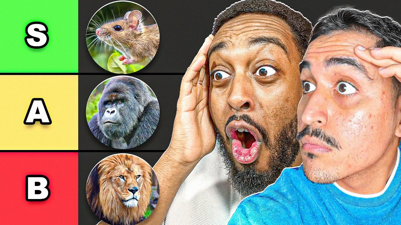 Diese TIERE hauen wir KNOCK!!!🤯Faro & Furky mit 1 vs. 1 Tiere Tierlist🚨I JustFaro