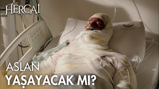 Aslanın Her Tarafı Yandı - Hercai 49. Bölüm