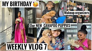 WEEKLY VLOG 7 MY BIRTHDAY BRUNCH |ORGANIZE MY MAKEUP |GETTING OUR NEW PUPPIES| //PENELOPE PALACE//