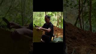 Primitive Technology Building a Tree House on a Fruit Tree for Survival 🔨#PrimitiveTechnology  🌴