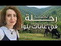 رحلة خاصة في غابات يلوا في تركيا 