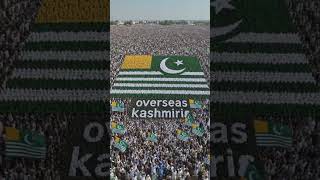 Overseas Kashmiris: Connected to Their Roots, Contributing to the world #kashmir #overseas #usa #fyp