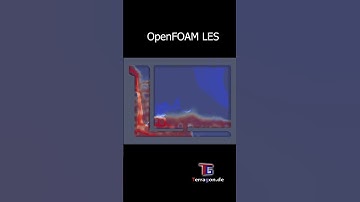 OpenFOAM CFD Simulation: Airlock StreamTracer - #fluiddynamics #fluidmechanics