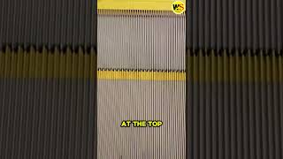Famous Why Escalator Steps Have Grooves – The Secret Purpose Revealed!  #ytshorts #viralshort #fyp Profile