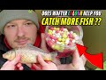 Will You Catch MORE FISH By Changing The Colour Of Your Wafters ???