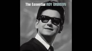 Video thumbnail of "Blue Bayou - Roy Orbison"