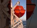 Rescue Boat vs. Lifeboat : Spotting the Differences at a Glance ! #solas #lifeboat #merchantnavy