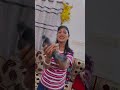 kabutar bolekabutar se
