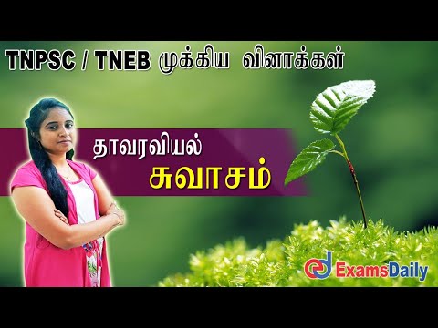 TNPSC  தாவரவியல் : சுவாசம் முக்கிய வினாக்கள்  |  TNPSC / TNEB PLANT Respiration Important  Questions