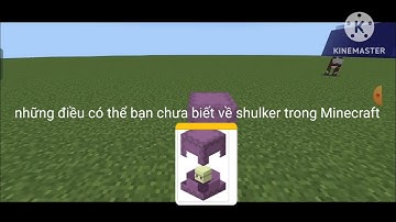 những điều có thể bạn chưa biết về shulker trong Minecraft
