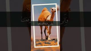 #ارح_مسامعك_وقلبك_مع_تلاوه_القران