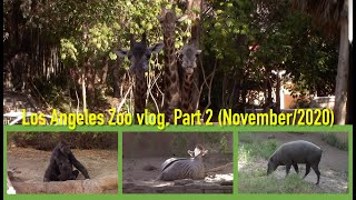 Los Angeles Zoo vlog, Part 2 (November/2020)