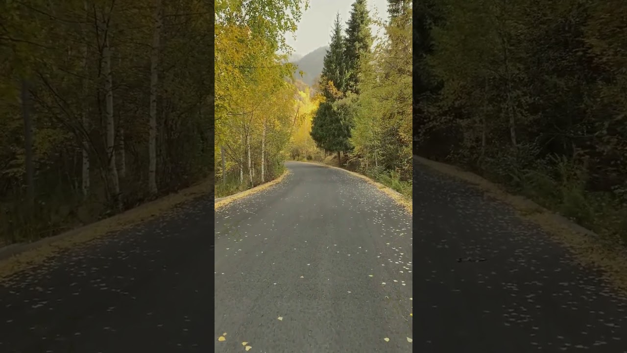 Each in His Own Tongue   William herbert Carruth