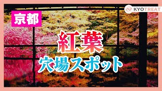 【京都紅葉】穴場スポット紹介！