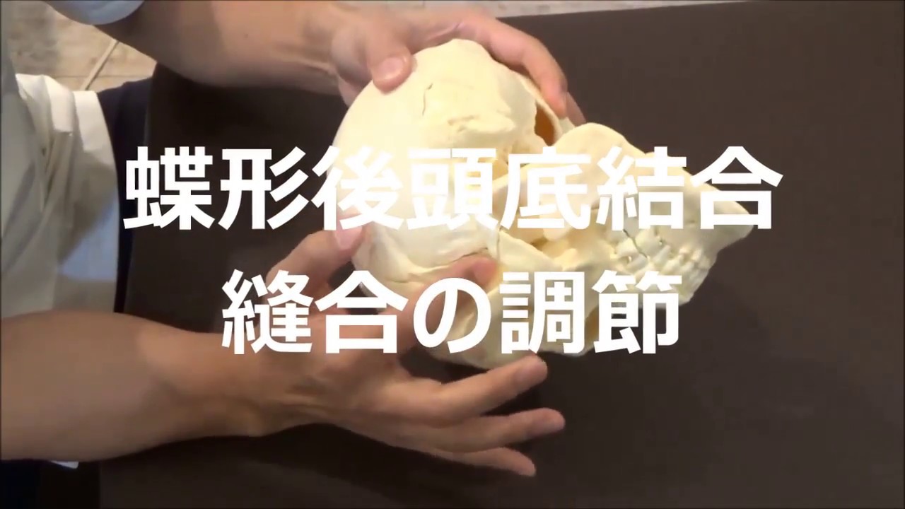 蝶形後頭底結合の調節 公式 整体サプリ セミナー参加費 教育費が１０分の１に