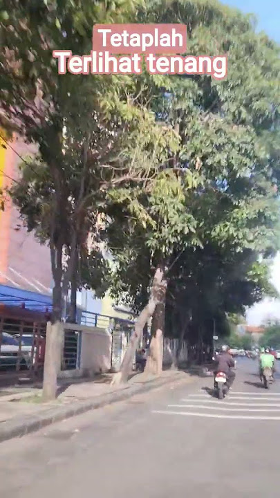 tetaplah terlihat tenang #motivasidiri #katakatabijakalibinabuthalib #katahatimotivasi #nasehat