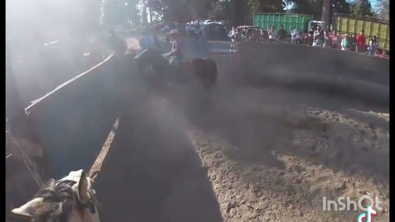 Domaduras en pullally