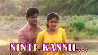 Video thumbnail of "Ninte Kannil...- Deepasthambham Mahascharyam Movie Song | Dileep | Jomol"