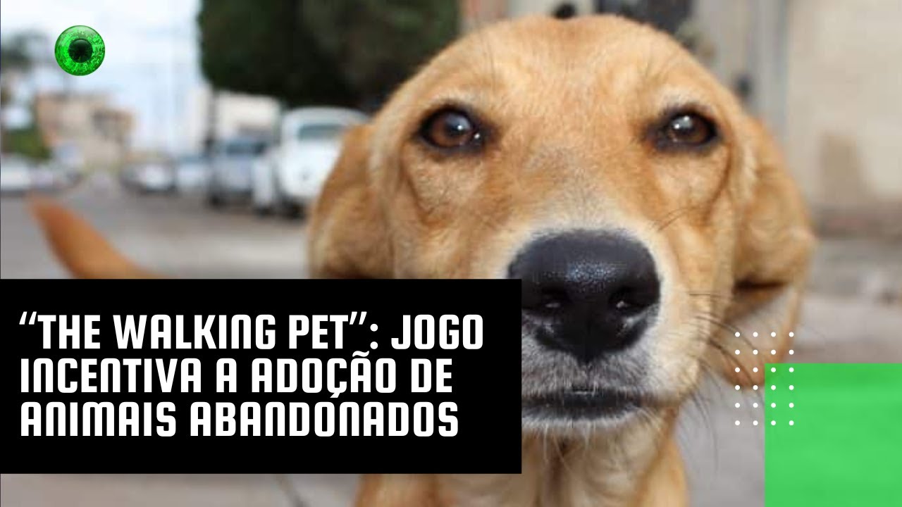 “The Walking Pet”: jogo incentiva a adoção de animais abandonados