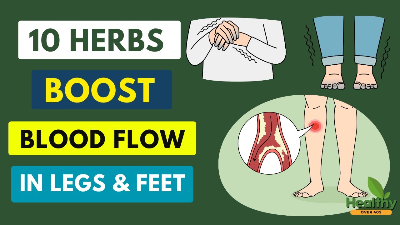Boost Blood Flow To Legs And Feet 10 Effective Herbs To Enhance Blood boost-blood-flow-to-legs-and-feet-10-effective-herbs-to-enhance-blood