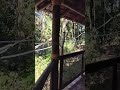 olha este lugar no Animália Park #shortvideo #shorts #park #natureza